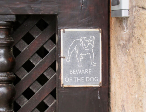 Se ve lo state chiedendo, questa è la verità su quando va esposto il cartello “Attenti al cane”