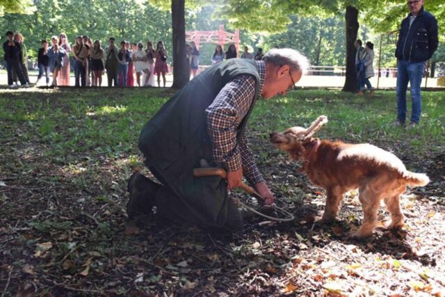 Cane cieco campione nella ricerca del tartufo accompagnato da una cagnolina