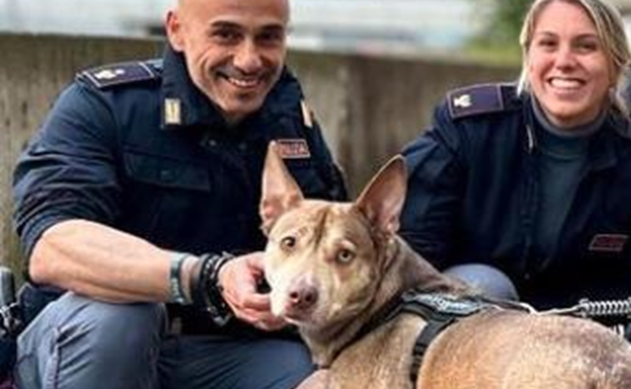 Poliziotto sorride al cane