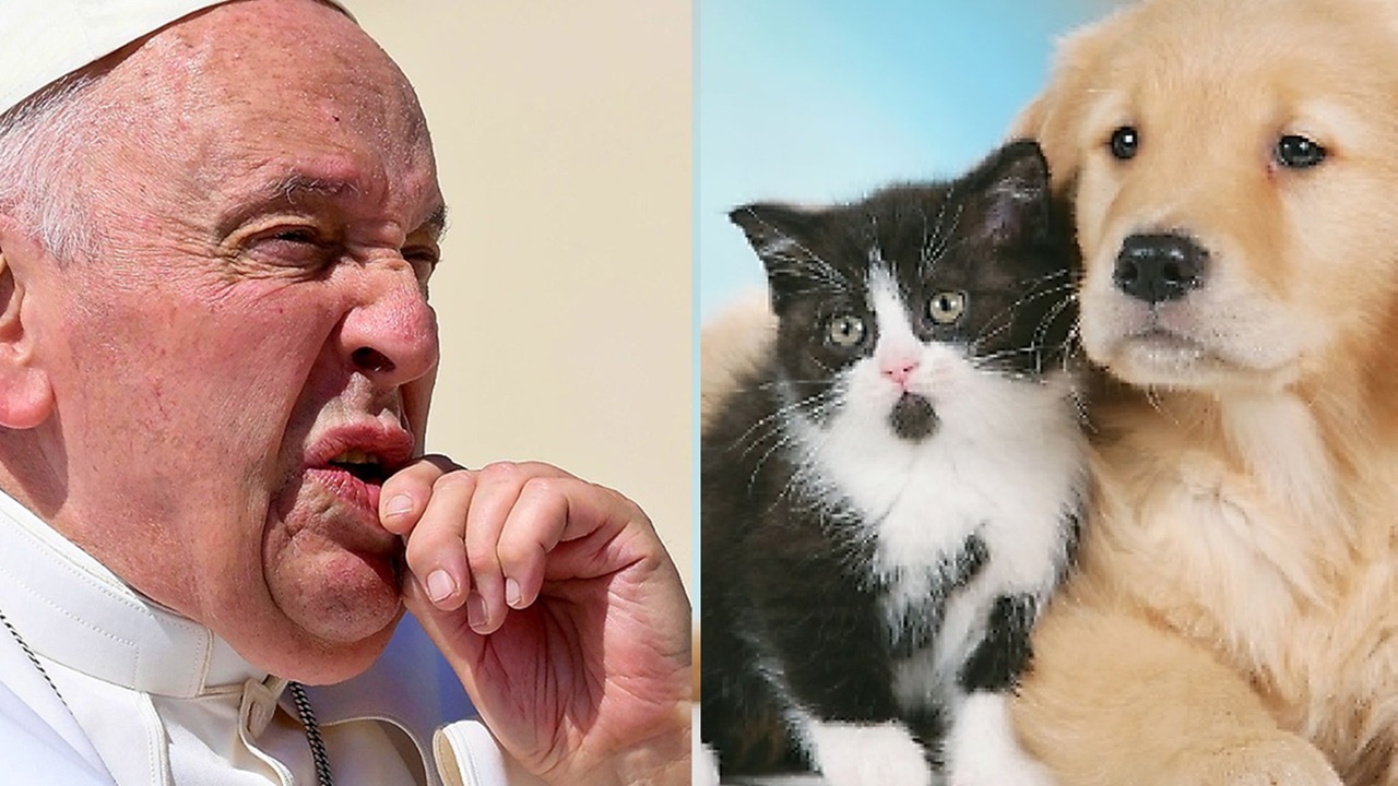 Papa Francesco parla di cani e gatti