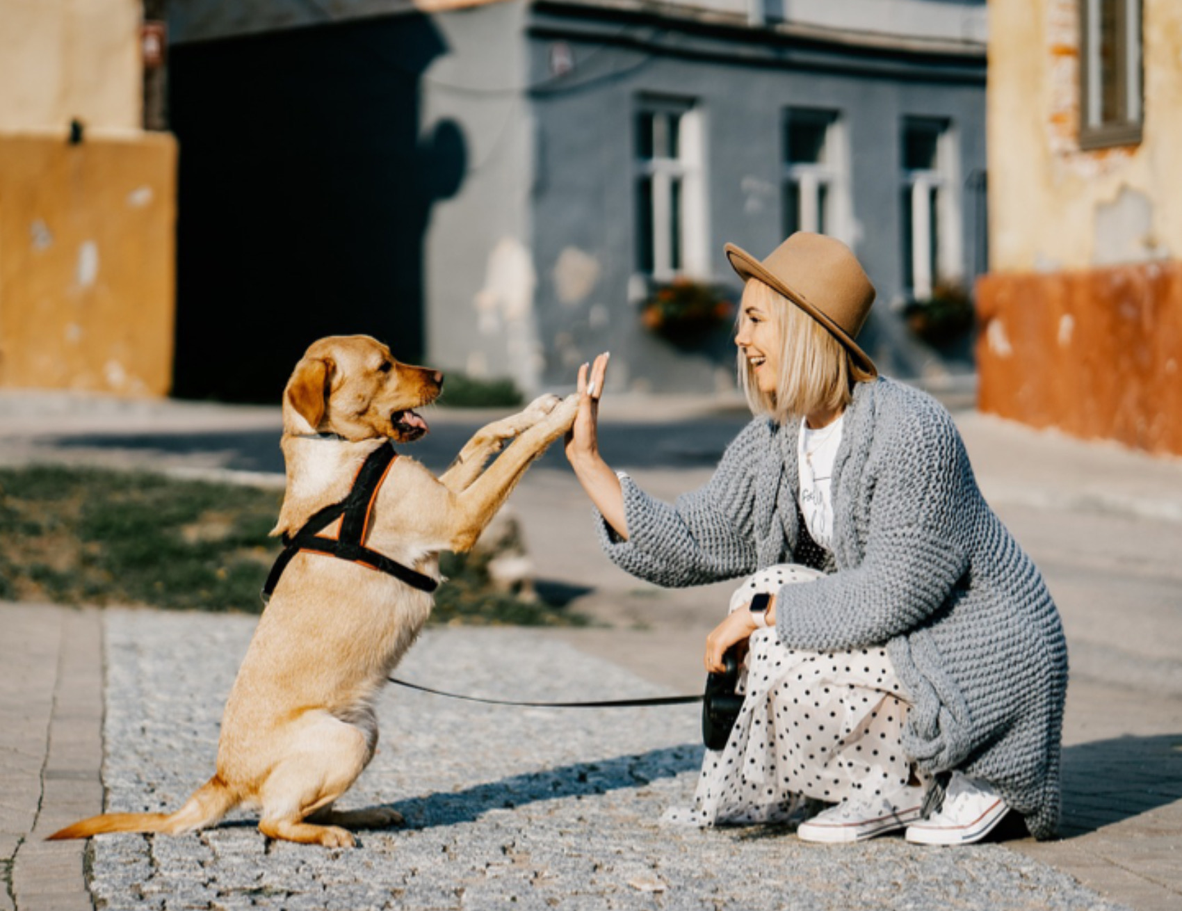 Cane e donna