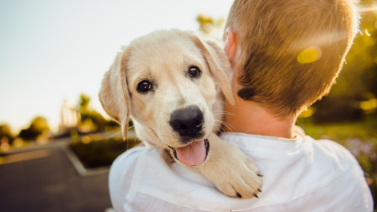 Cane con l’umano