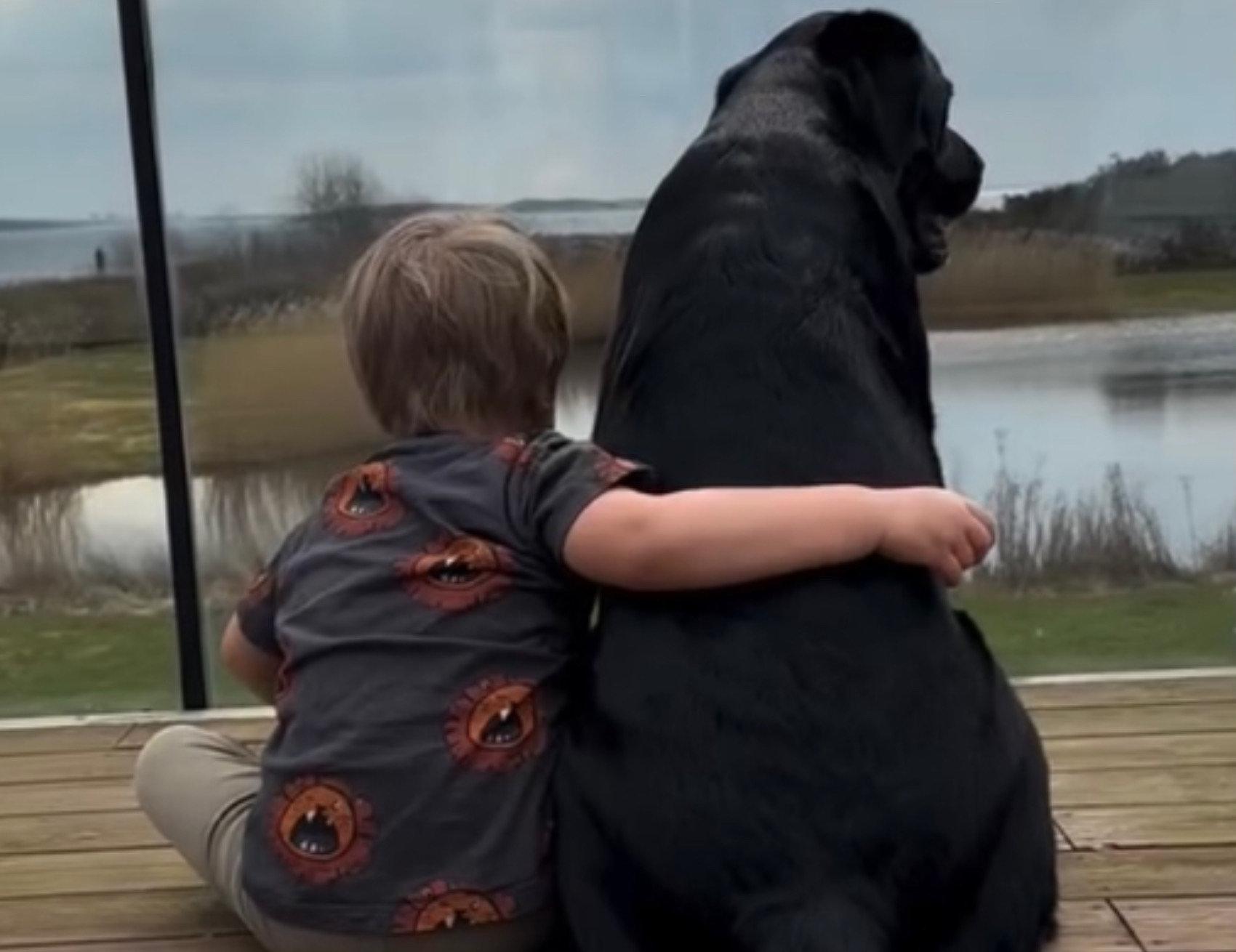 Bambini abbraccia il cane