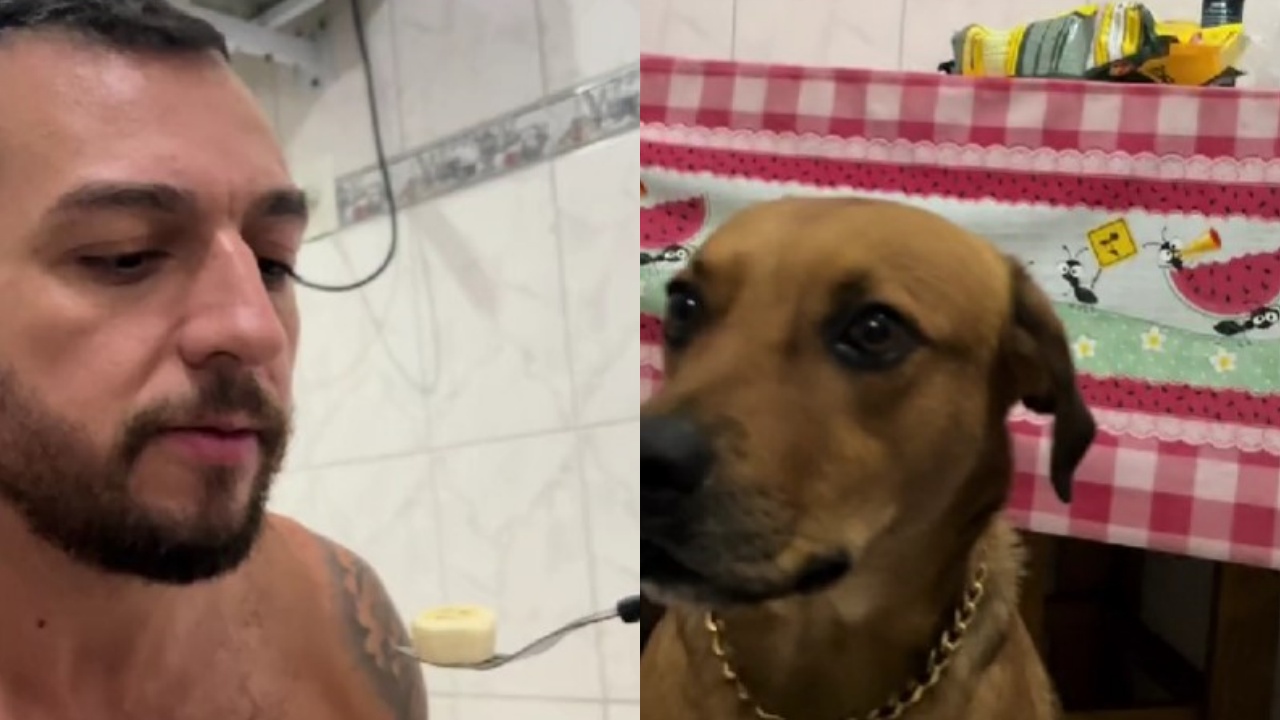 video cane e umano