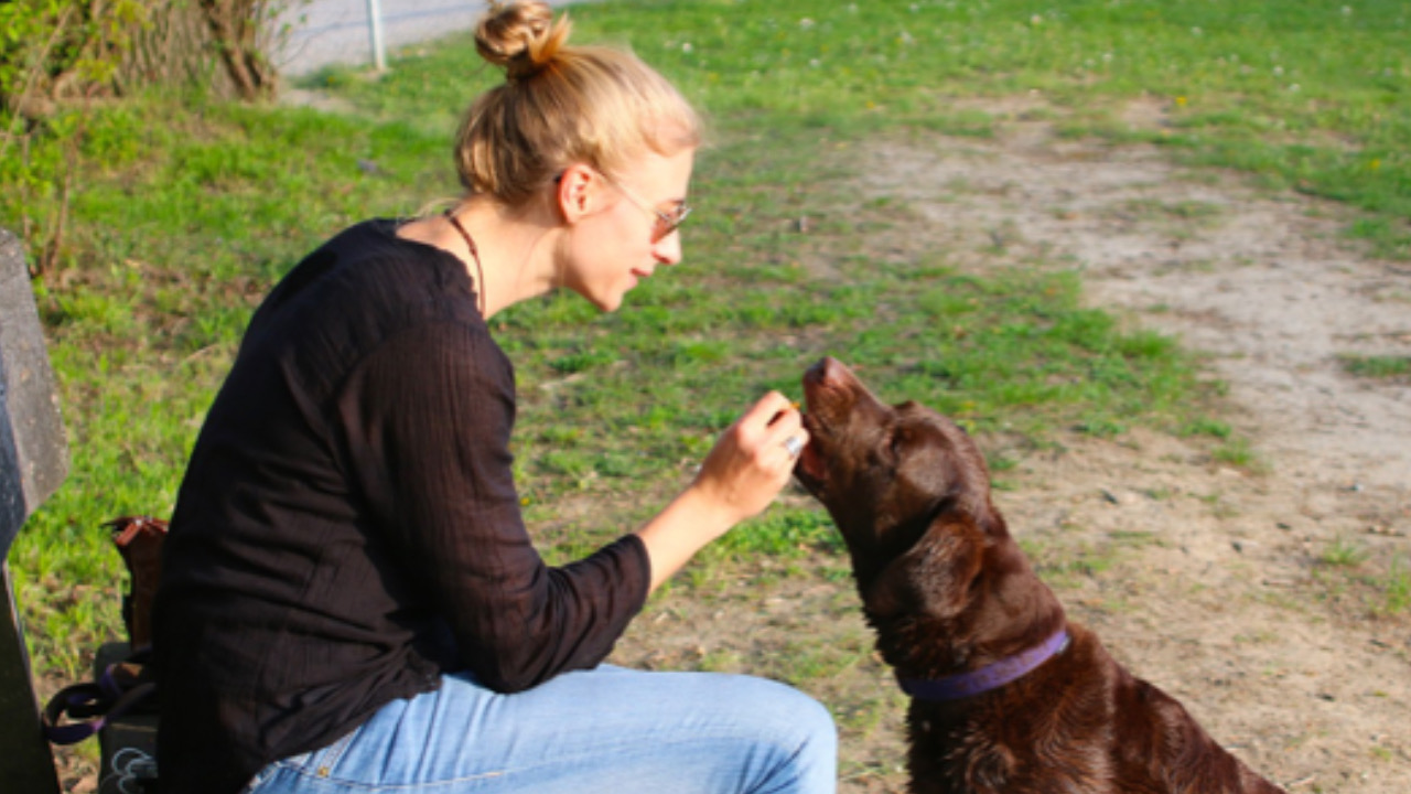 Donna da da mangiare al cane