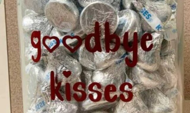 Un gesto prima che i cani vengano addormentati: questi “baci di addio” ti faranno commuovere