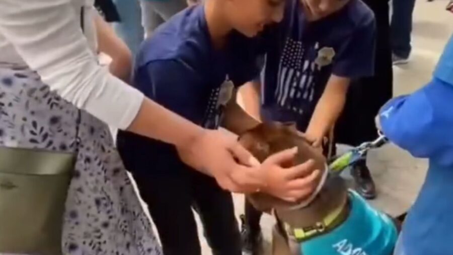 bambini accarezzano un cane