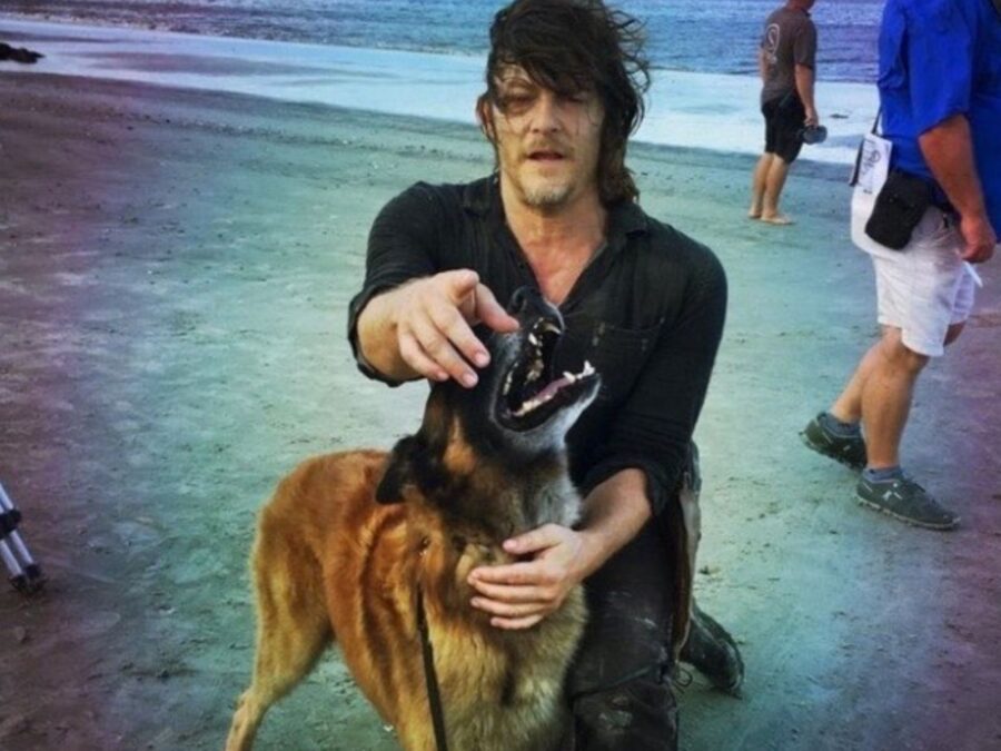 Cane di TWD