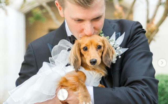 Lo sposo pensa di incontrare subito lo sguardo della sua futura moglie, ma il cane lo sorprende (VIDEO)