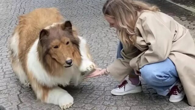 L’uomo che è diventato un cane adesso potrebbe trasformarsi in un panda o in un orso