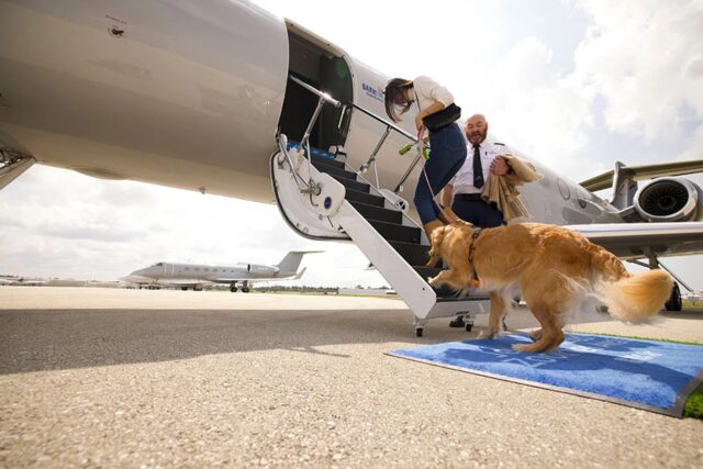 Prima compagnia aerea di lusso per cani: tutti in volo con Bark Air