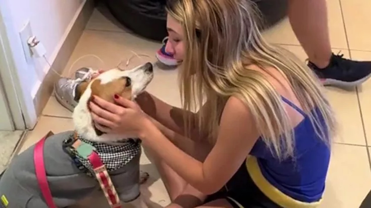 Ragazza bacia il cane