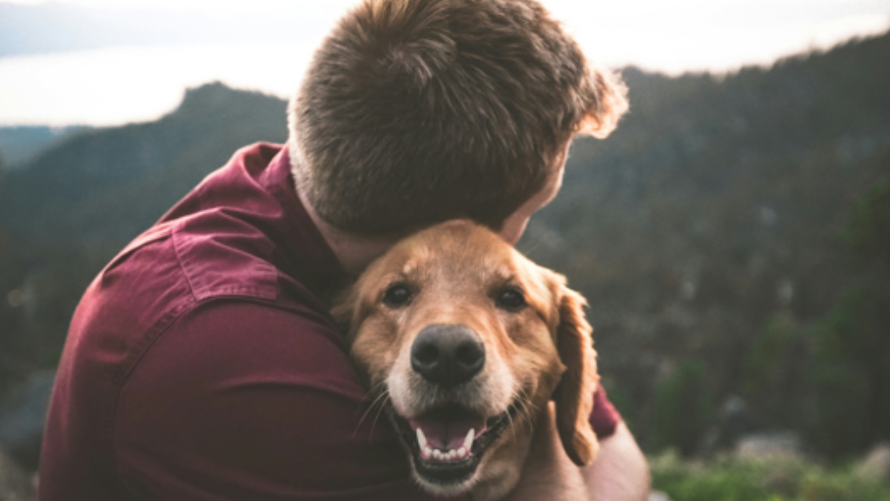 Cane e umano