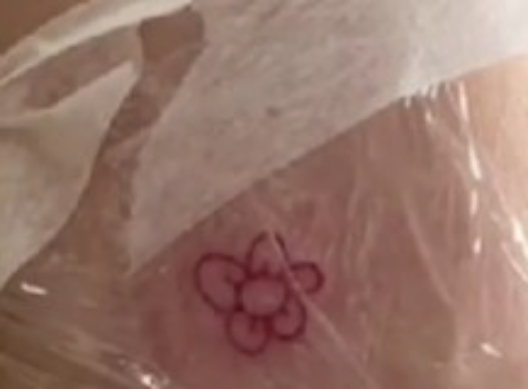 donna tatuaggio dedicato al cane