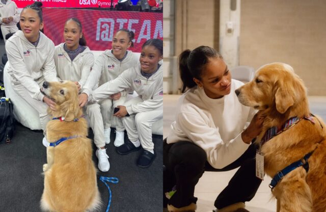 Questo cane è fondamentale per le Olimpiadi: c’è un intero team che conta su di lui