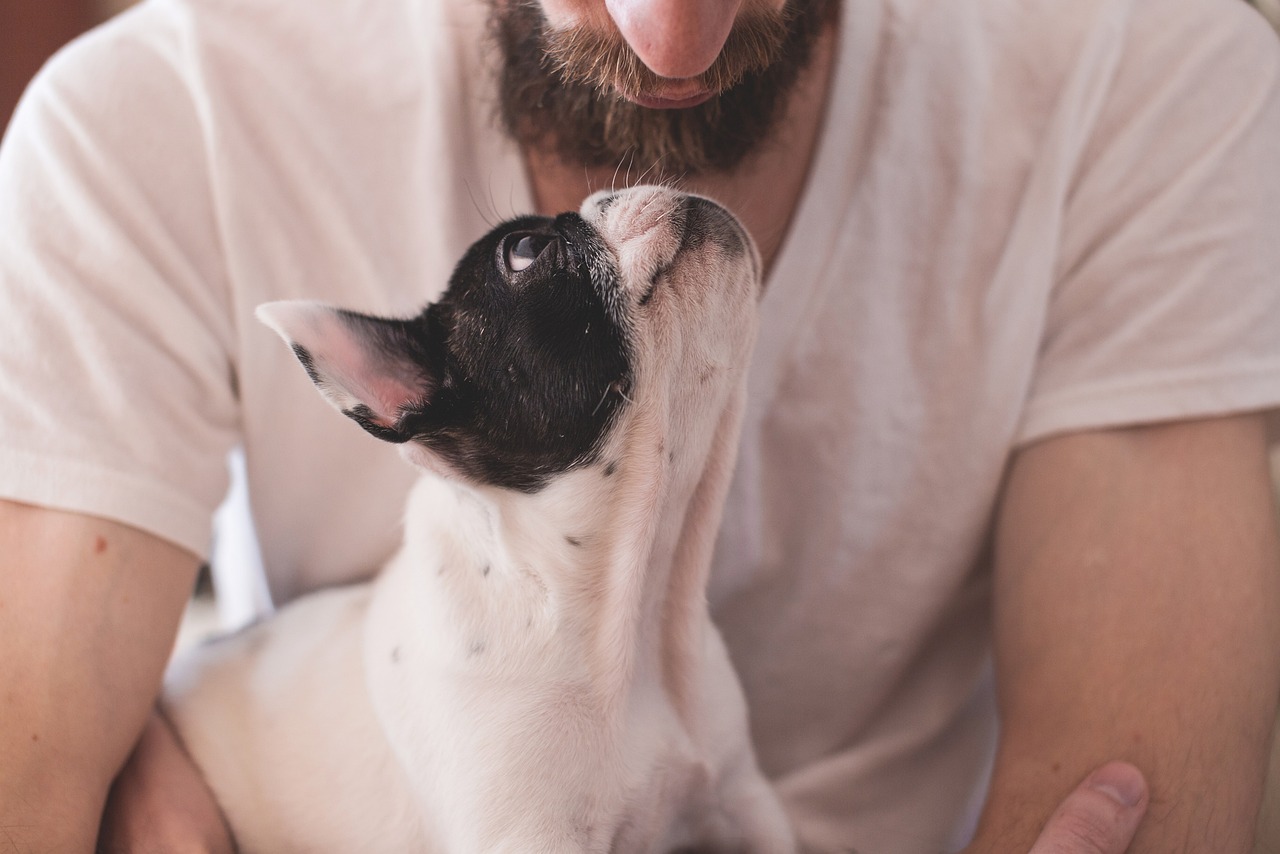 Cane con il proprietario