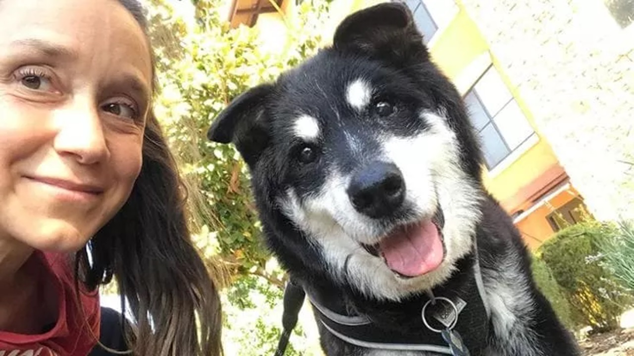 Cane anziano con una donna