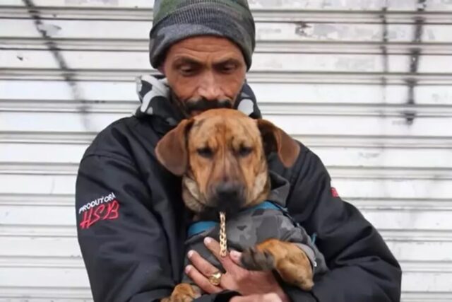 Cane restituito al senzatetto: la decisione di un Tribunale contro la scelta del Comune di separarli