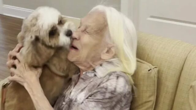 Cane ritrova la nonna con Alzheimer: entrambi sono al settimo cielo