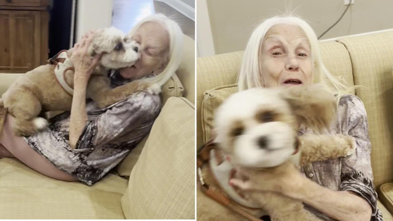 Cane con la nonna malata di Alzheimer