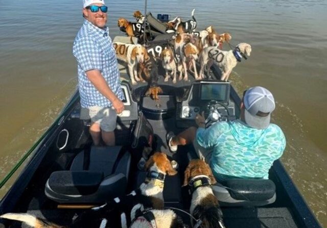 38 cani salvati nel lago da un gruppo di pescatori diventati degli eroi