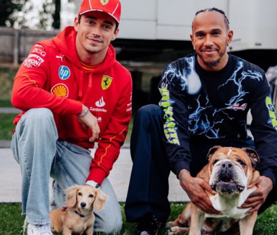 Charles Leclerc e Lewis Hamilton con i cani Leo e Roscoe: la foto insieme