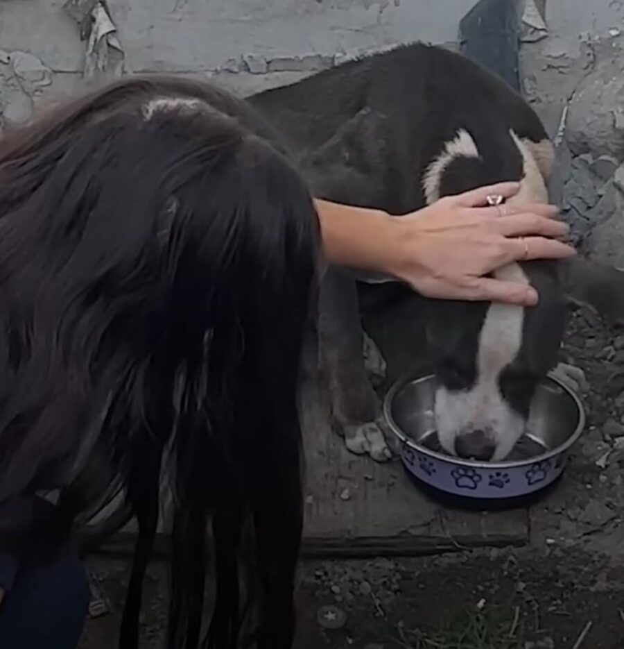 Charlenne insieme ad un cucciolo di cane