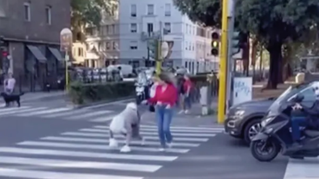 Uomo cane al Flaminio