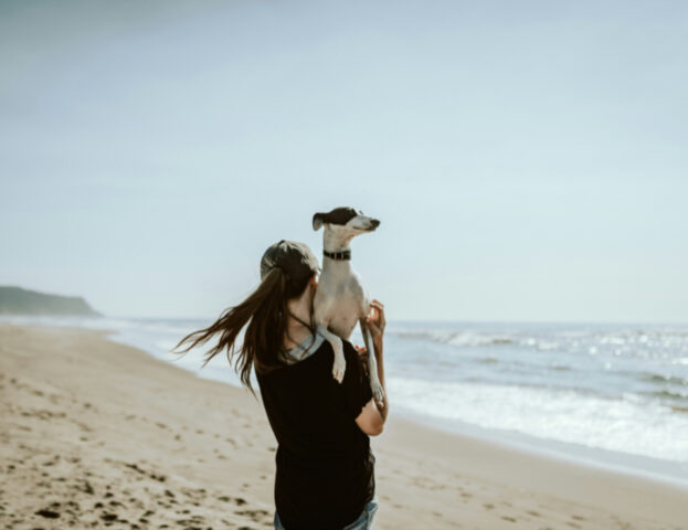 Cosa possiamo fare se il nostro cane è terrorizzato dall’acqua?