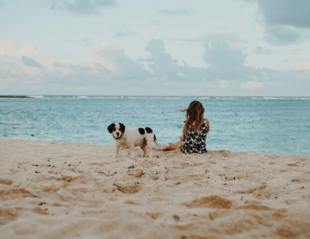 Se te lo sei chiesto, ecco i motivi per cui il tuo cane potrebbe avere paura del mare