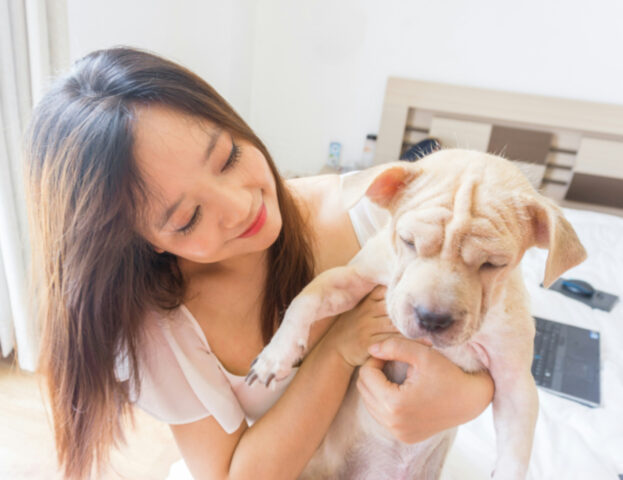 Sì, se fai le coccole al cane prima di lasciarlo solo probabilmente hai sempre agito correttamente