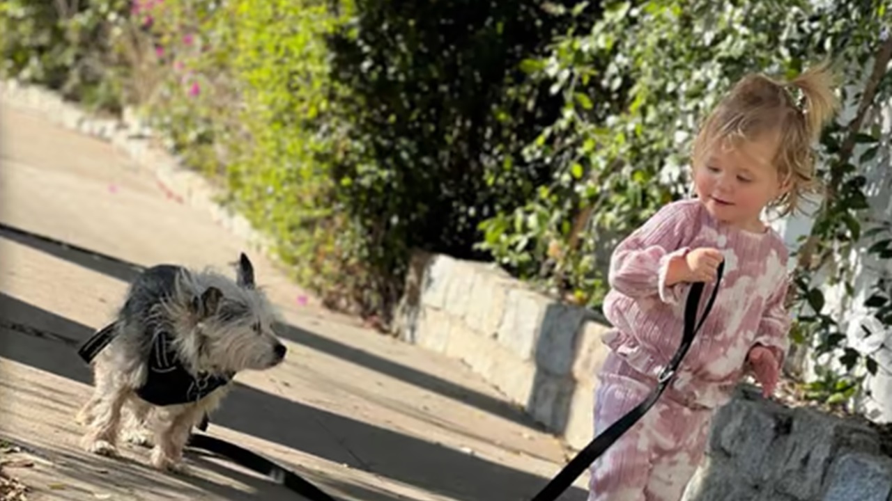 Bambina con il cane a spasso