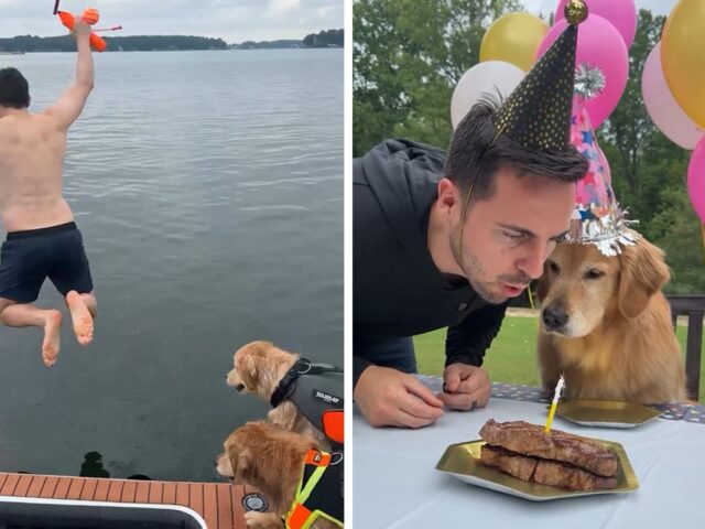 Per il compleanno del Golden Retriever fanno una sorpresa che è davvero definitiva