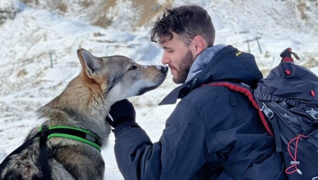 Cane libero ad alta quota azzanna un altro animale: hanno rischiato grosso