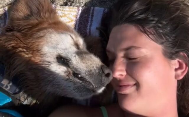 La giornata estiva che questo Golden Retriever anziano passa con la sua mamma è indimenticabile (VIDEO)