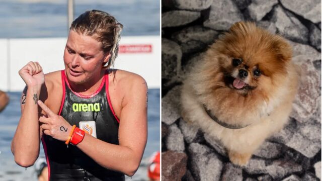 Medaglia d’oro dedicata al cane che non c’è più: la nuotatrice ha partecipato a Parigi 2024 in memoria di Rio