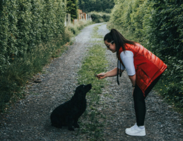 Dietrofront: ora la scienza non sa se i cani ci fanno davvero del bene