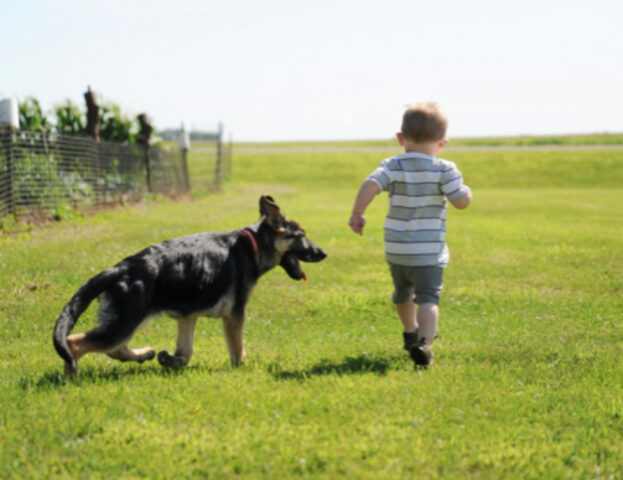 Sai che potrebbe esserci un legame tra la tua infanzia e il modo in cui ti comporti con il tuo cane?