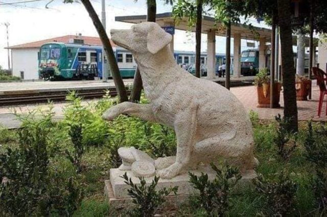 Il cane che amava viaggiare in treno da solo (tornando sempre a casa)