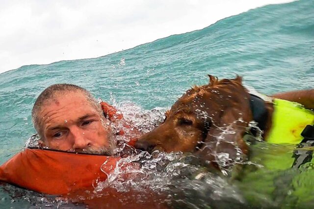 Cane e proprietario salvati su una barca durante l’uragano Helene