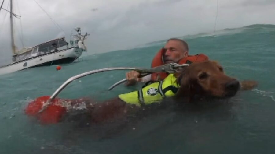 Cane e proprietario salvati su una barca