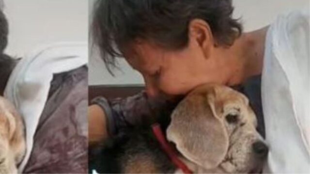 In lacrime la donna dice addio al suo cane adottato dopo 15 anni di vita insieme