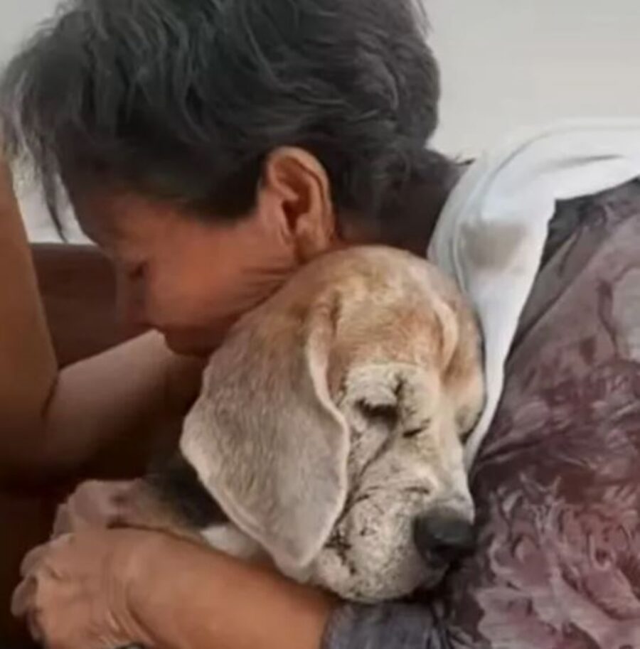 una donna saluta per sempre il suo cane