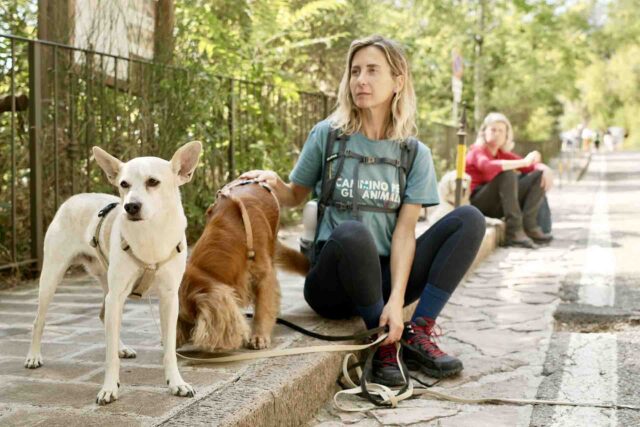 C’è un’iniziativa in arrivo in Italia che coinvolge anche il tuo cane e che si ispira a San Francesco