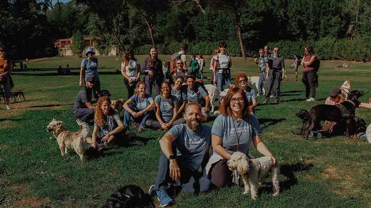 Cani sul cammino di San Francesco