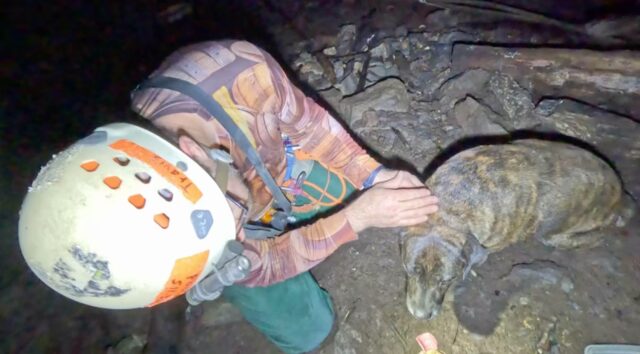 Cucciolo intrappolato in una caverna, salvato da speleologi