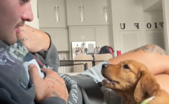 Il tenerissimo modo del Golden Retriever di parlare con il suo papà è senza prezzo (VIDEO)