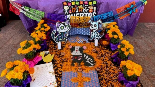 Il 27 ottobre è il Dia de Los Muertos per i nostri cani: oggi possiamo ricordarli in questo modo speciale