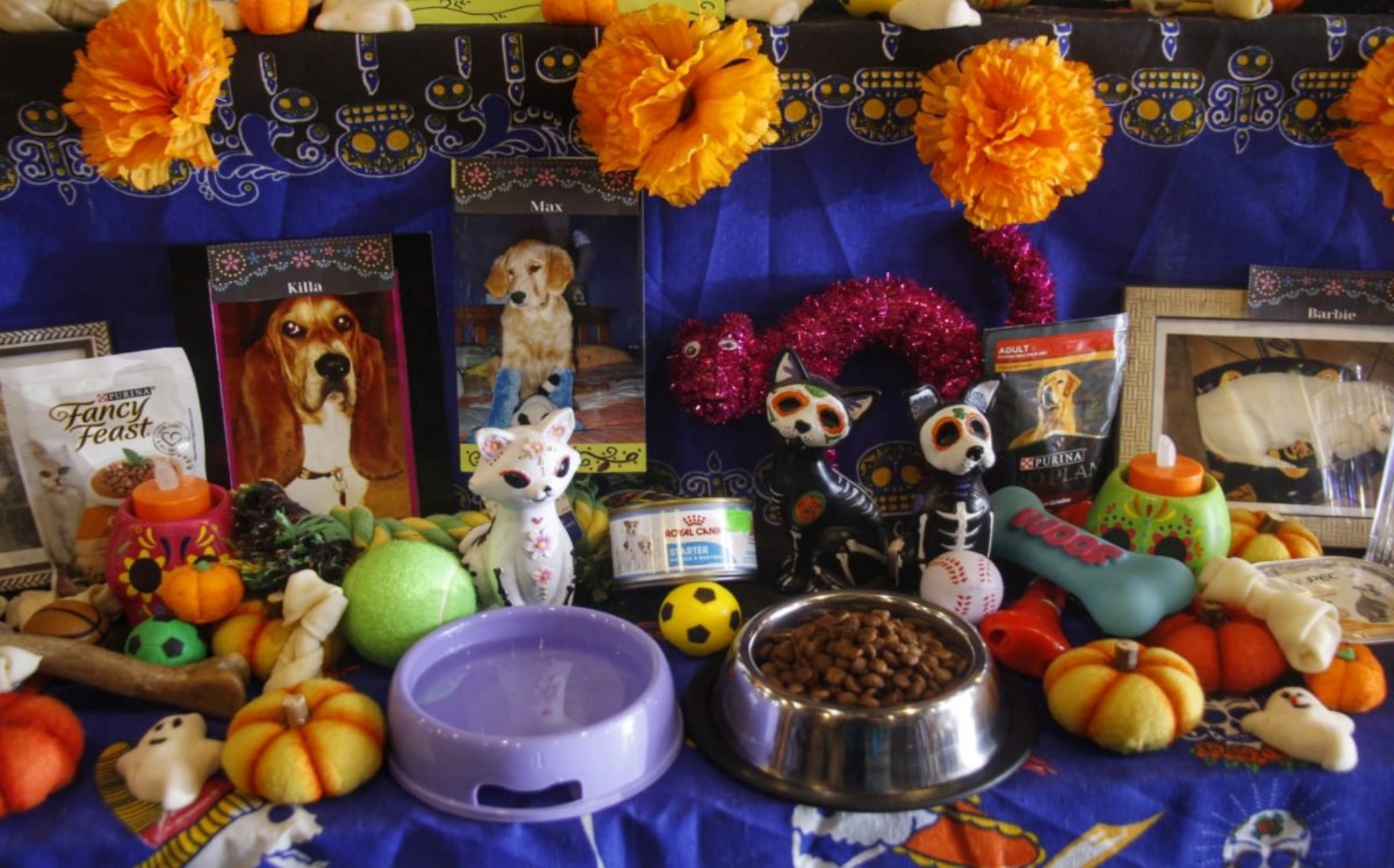 Dia de Los Muertos per cani