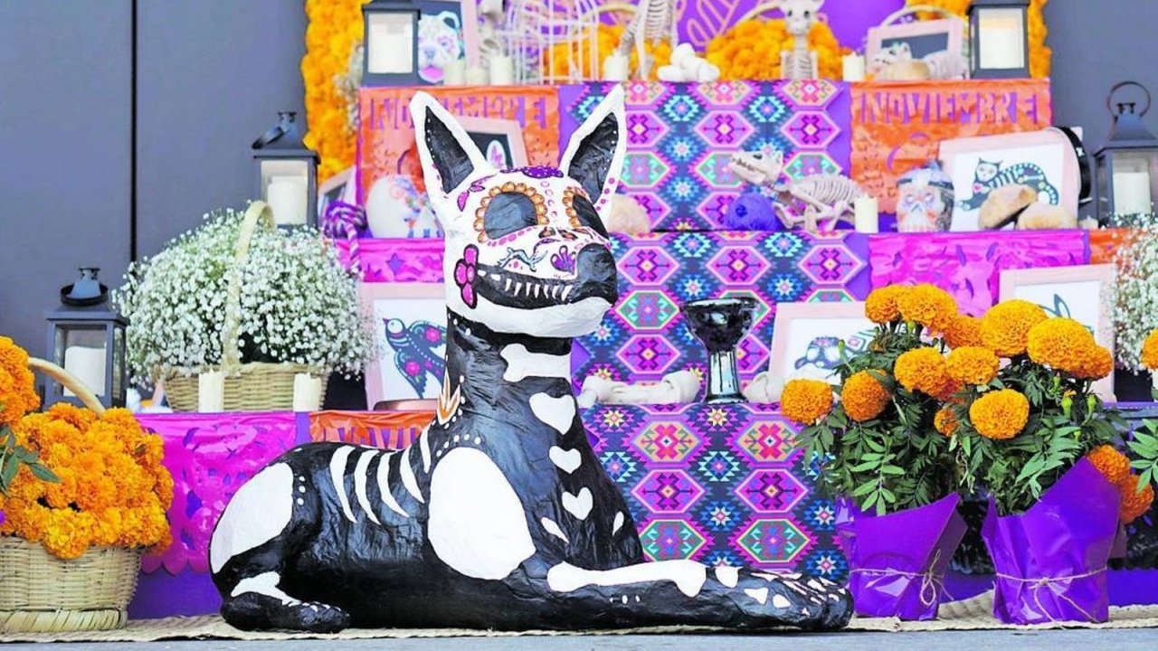 celebrare cani Dia de Los Muertos